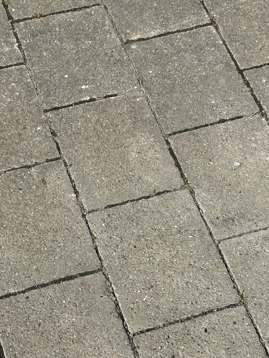 Sidewalk Tiles